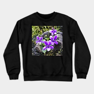 WILD WELSH VIOLETS Crewneck Sweatshirt